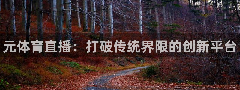 元体育直播：打破传统界限的创新平台