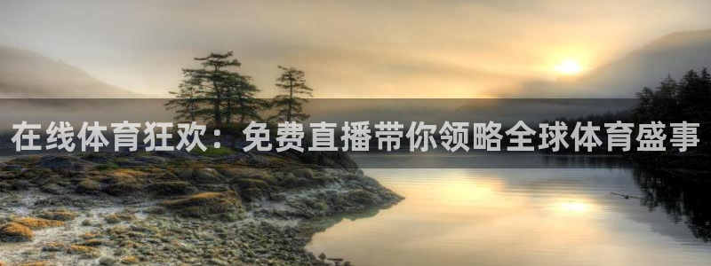 在线体育狂欢：免费直播带你领略全球体育盛事