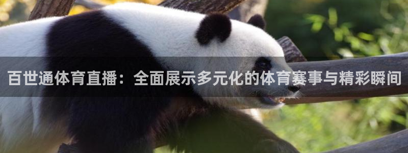 百世通体育直播：全面展示多元化的体育赛事与精彩瞬间