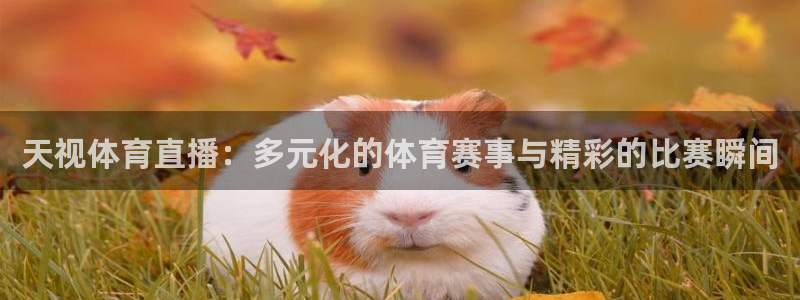天视体育直播：多元化的体育赛事与精彩的比赛瞬间
